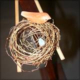 Birds Nest (detail)